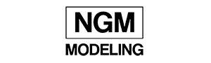 NGM Modeling